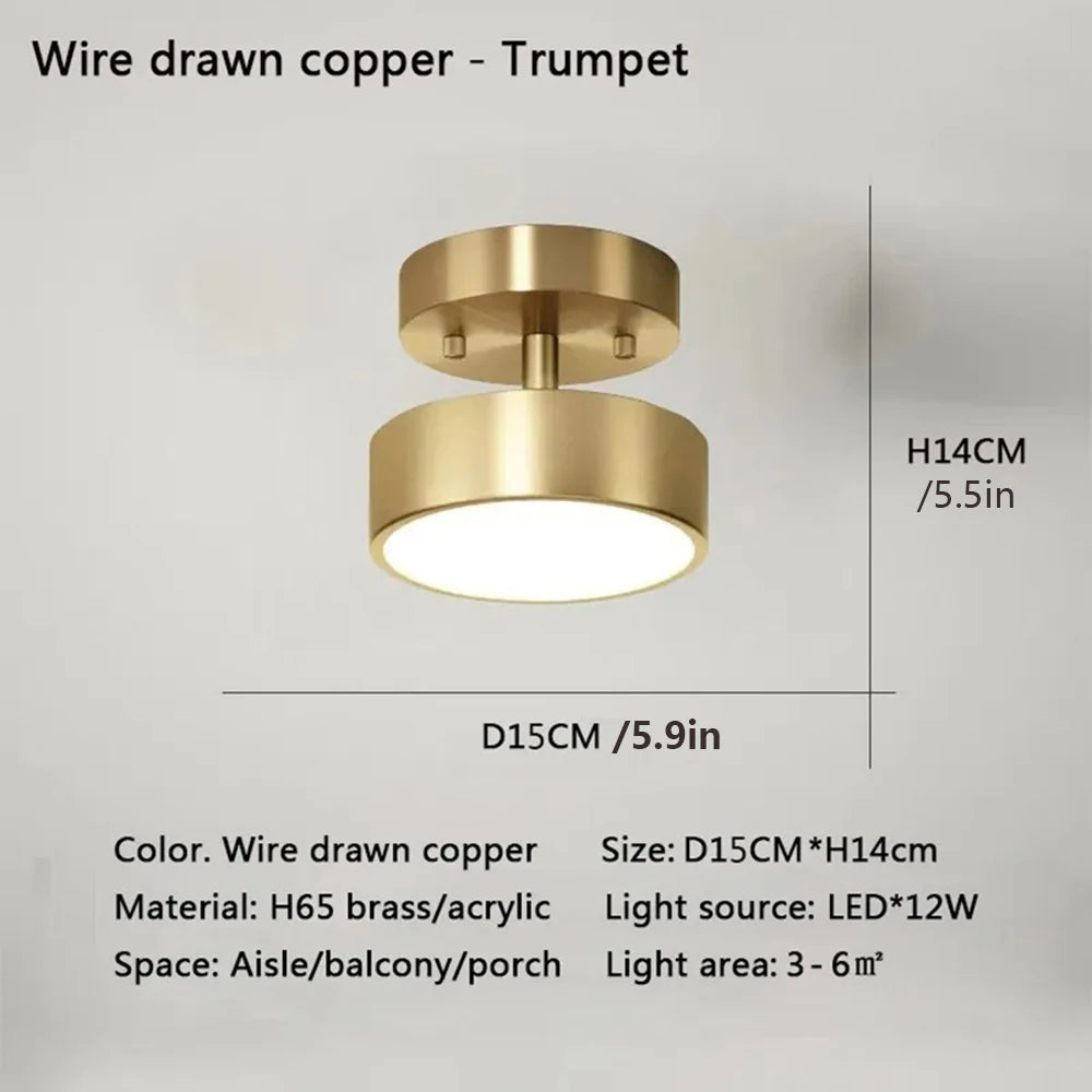 LED Ceiling Lamp Black Gold Home Decor Fixtures For Living Room Study Indoor lighting Hallway Entrance Bedroom Lighting Fixtures