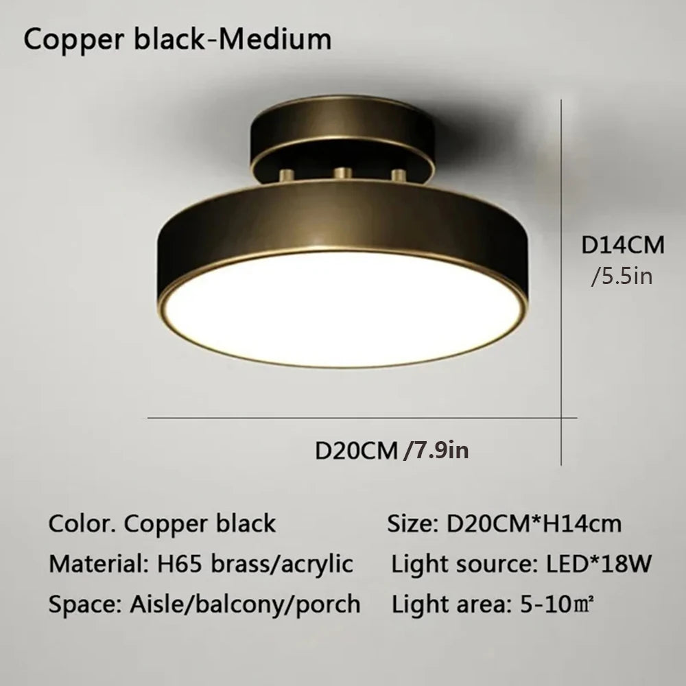 LED Ceiling Lamp Black Gold Home Decor Fixtures For Living Room Study Indoor lighting Hallway Entrance Bedroom Lighting Fixtures
