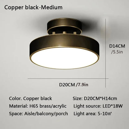 LED Ceiling Lamp Black Gold Home Decor Fixtures For Living Room Study Indoor lighting Hallway Entrance Bedroom Lighting Fixtures