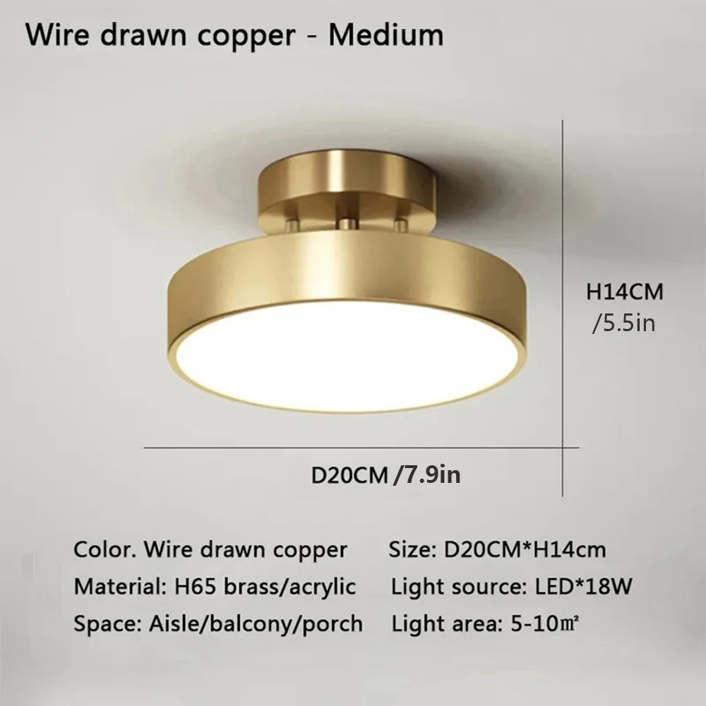 LED Ceiling Lamp Black Gold Home Decor Fixtures For Living Room Study Indoor lighting Hallway Entrance Bedroom Lighting Fixtures