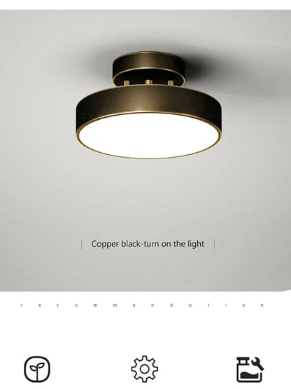 LED Ceiling Lamp Black Gold Home Decor Fixtures For Living Room Study Indoor lighting Hallway Entrance Bedroom Lighting Fixtures