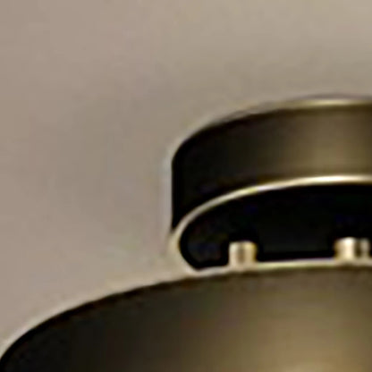 LED Ceiling Lamp Black Gold Home Decor Fixtures For Living Room Study Indoor lighting Hallway Entrance Bedroom Lighting Fixtures