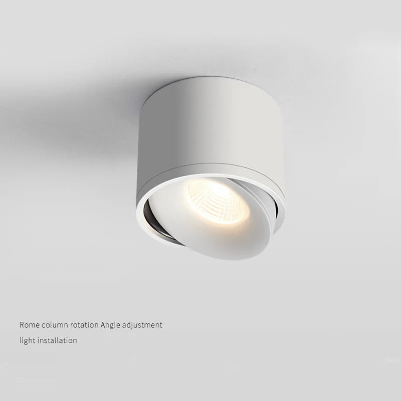 Surface Mounted Dimmable LED Downlight AC110V/220V Ceiling Light Rotatable COB Spotlight 9W 12W 15W 24W Indoor Home Decoration