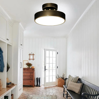 LED Ceiling Lamp Black Gold Home Decor Fixtures For Living Room Study Indoor lighting Hallway Entrance Bedroom Lighting Fixtures