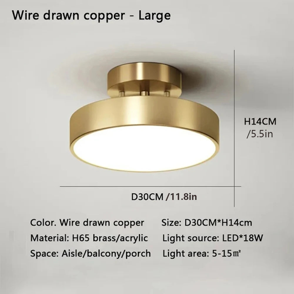 LED Ceiling Lamp Black Gold Home Decor Fixtures For Living Room Study Indoor lighting Hallway Entrance Bedroom Lighting Fixtures