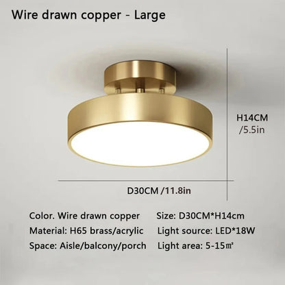 LED Ceiling Lamp Black Gold Home Decor Fixtures For Living Room Study Indoor lighting Hallway Entrance Bedroom Lighting Fixtures