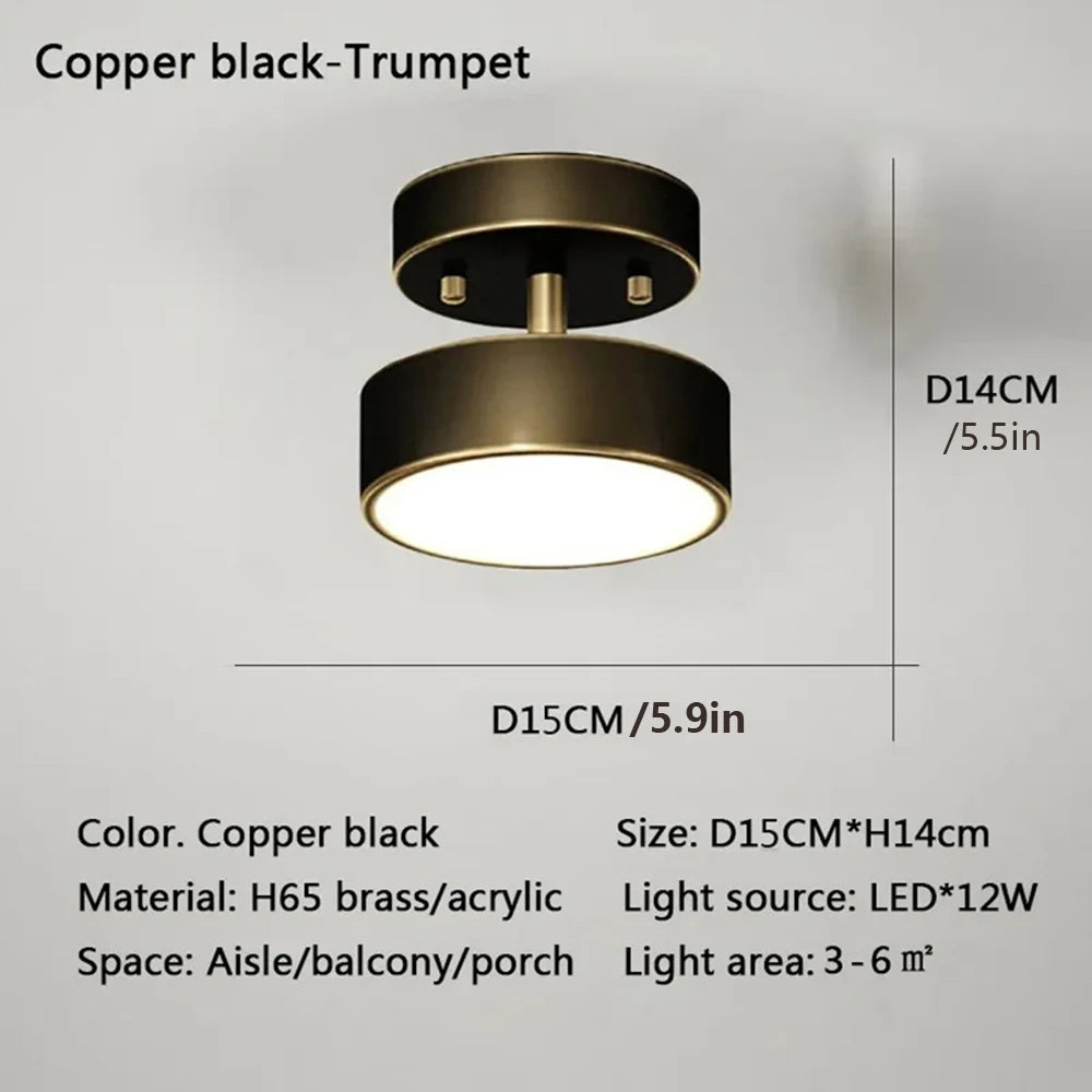 LED Ceiling Lamp Black Gold Home Decor Fixtures For Living Room Study Indoor lighting Hallway Entrance Bedroom Lighting Fixtures