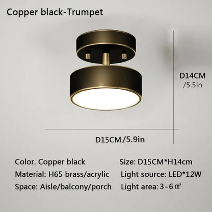 LED Ceiling Lamp Black Gold Home Decor Fixtures For Living Room Study Indoor lighting Hallway Entrance Bedroom Lighting Fixtures
