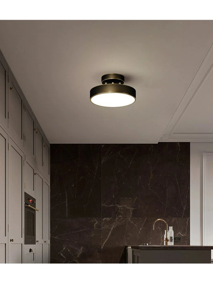 LED Ceiling Lamp Black Gold Home Decor Fixtures For Living Room Study Indoor lighting Hallway Entrance Bedroom Lighting Fixtures