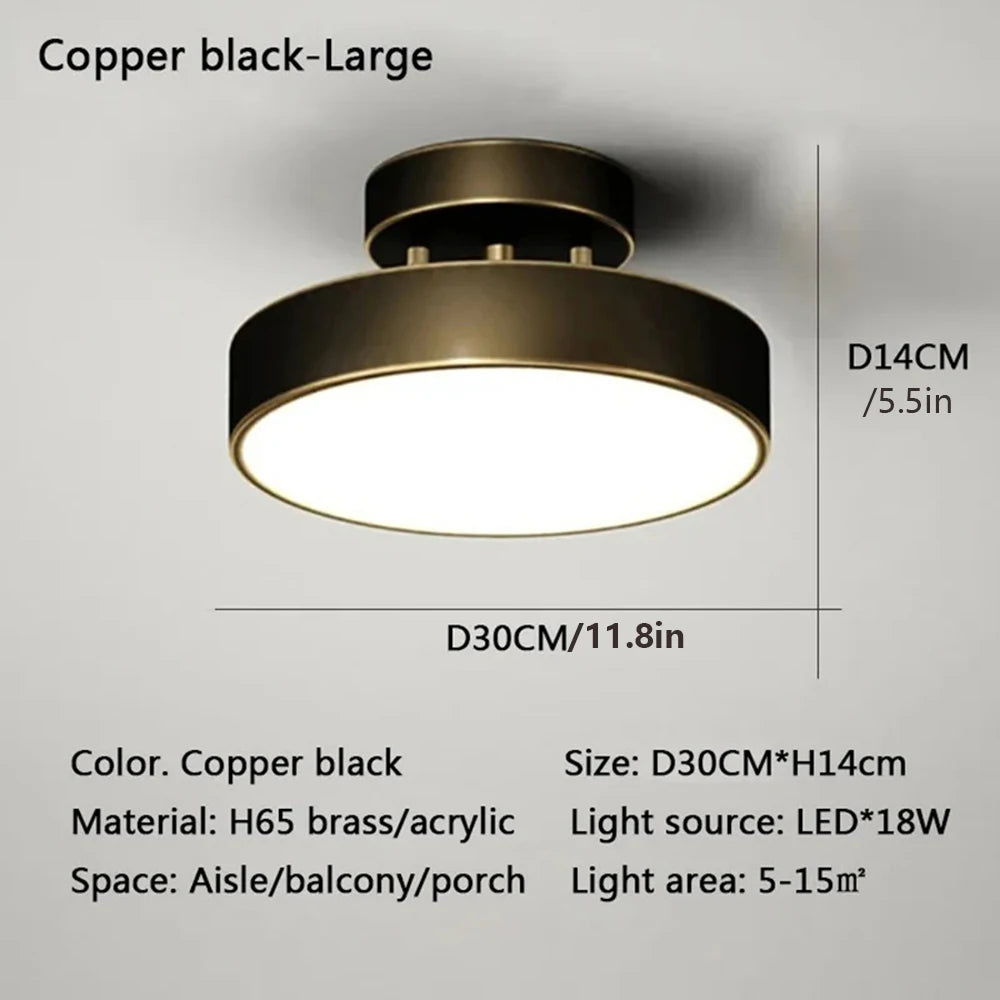 LED Ceiling Lamp Black Gold Home Decor Fixtures For Living Room Study Indoor lighting Hallway Entrance Bedroom Lighting Fixtures
