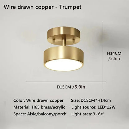 LED Ceiling Lamp Black Gold Home Decor Fixtures For Living Room Study Indoor lighting Hallway Entrance Bedroom Lighting Fixtures