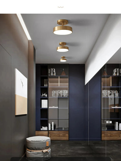 LED Ceiling Lamp Black Gold Home Decor Fixtures For Living Room Study Indoor lighting Hallway Entrance Bedroom Lighting Fixtures