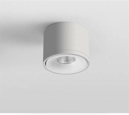 Surface Mounted Dimmable LED Downlight AC110V/220V Ceiling Light Rotatable COB Spotlight 9W 12W 15W 24W Indoor Home Decoration