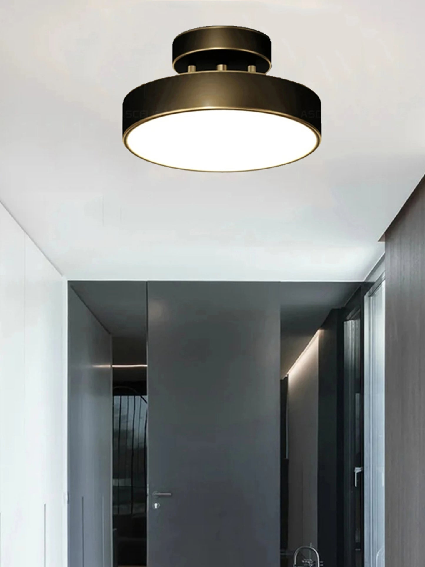 LED Ceiling Lamp Black Gold Home Decor Fixtures For Living Room Study Indoor lighting Hallway Entrance Bedroom Lighting Fixtures