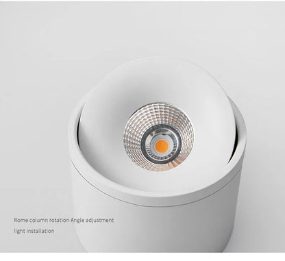 Surface Mounted Dimmable LED Downlight AC110V/220V Ceiling Light Rotatable COB Spotlight 9W 12W 15W 24W Indoor Home Decoration