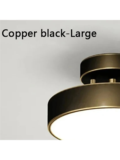 LED Ceiling Lamp Black Gold Home Decor Fixtures For Living Room Study Indoor lighting Hallway Entrance Bedroom Lighting Fixtures