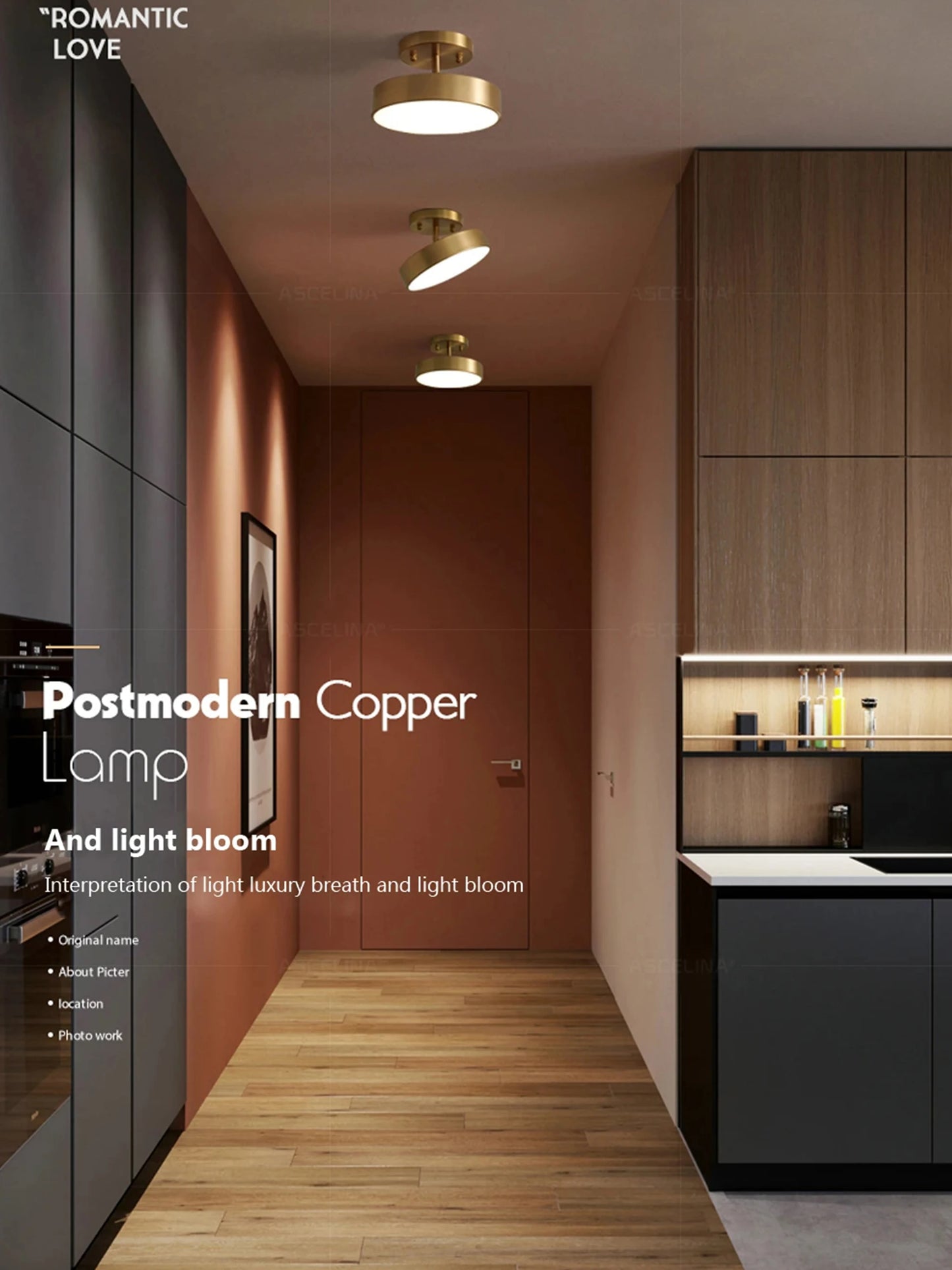 LED Ceiling Lamp Black Gold Home Decor Fixtures For Living Room Study Indoor lighting Hallway Entrance Bedroom Lighting Fixtures