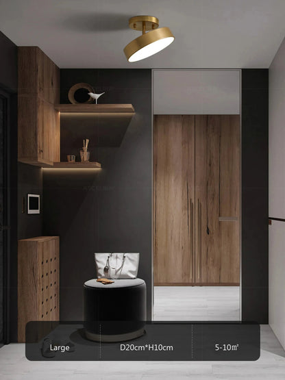 LED Ceiling Lamp Black Gold Home Decor Fixtures For Living Room Study Indoor lighting Hallway Entrance Bedroom Lighting Fixtures